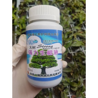 {GIÁ TẬN GỐC } [GIÁ SỐC] KÍCH RỄ ĐÀI LOAN SIÊU MẠNH CHUYÊN DÙNG CHO HỒNG VÀ CÁC LOẠI CÂY CẢNH BONSAI