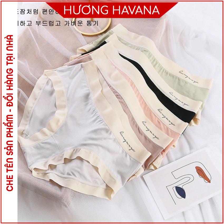 Quần lót nữ cotton Hàn siêu mịn co giãn 4 chiều phối viền su lạnh chống lộ Havana FLQ151