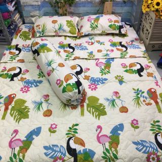 Drap cotton poly full nguyên bộ 5 món