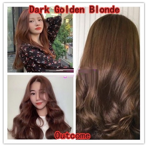 Thuốc Nhuộm Tóc Màu Nâu Vàng Tối Dark Golden Blonde Hair Dye Cream 6/3