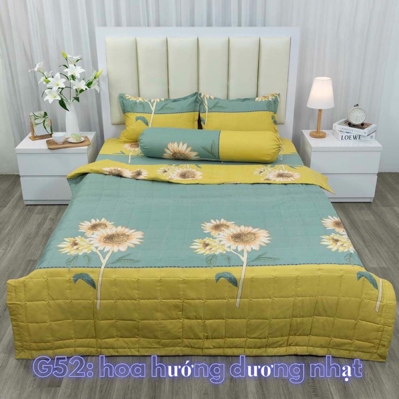 Trọn bộ 4 món ga gối cotton poly
