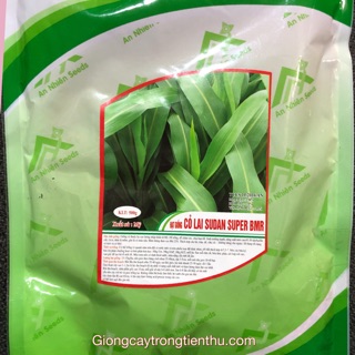 Hạt giống cỏ lai sudan super 1kg
