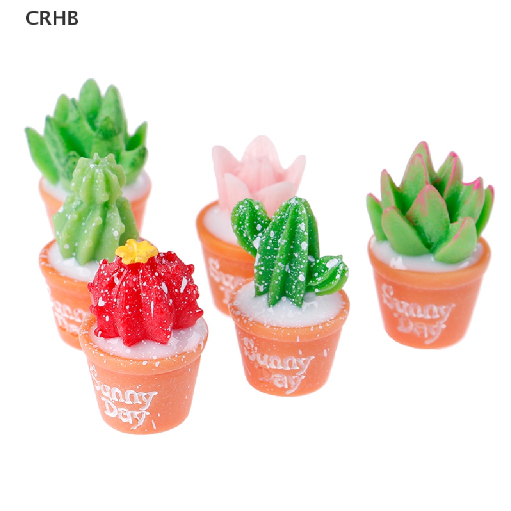 Crhb Set 5 Cây Xương Rồng Bằng Nhựa Resin Nhỏ Tự Trang Trí Chậu Cây Bonsai Mới
