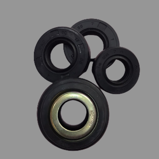 Bộ Phốt Bơm Nước Thái CR75 hoặc CR150