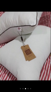 Ruột gối đầu Muji