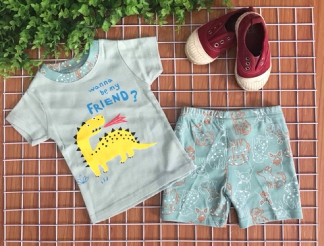 Bộ bozip/borip bé trai cộc tay có mặt sau 8-21 kg (ib chọn màu )