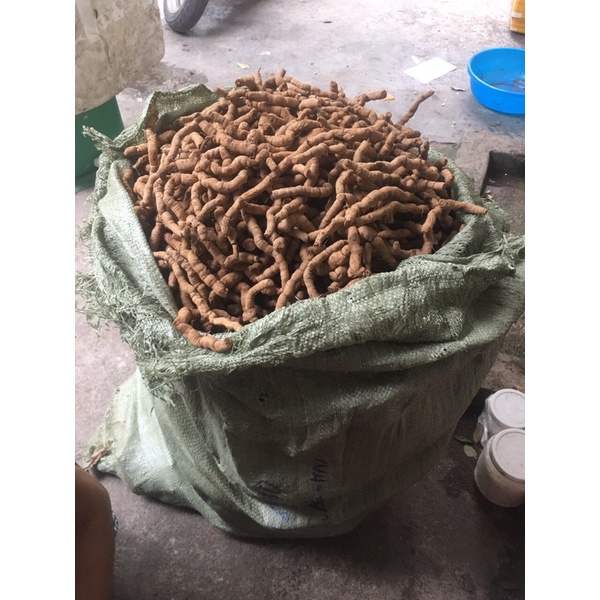 ba kích tím nguyên củ 1 cân