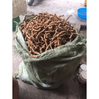 Ba kích tím nguyên củ 1 cân
