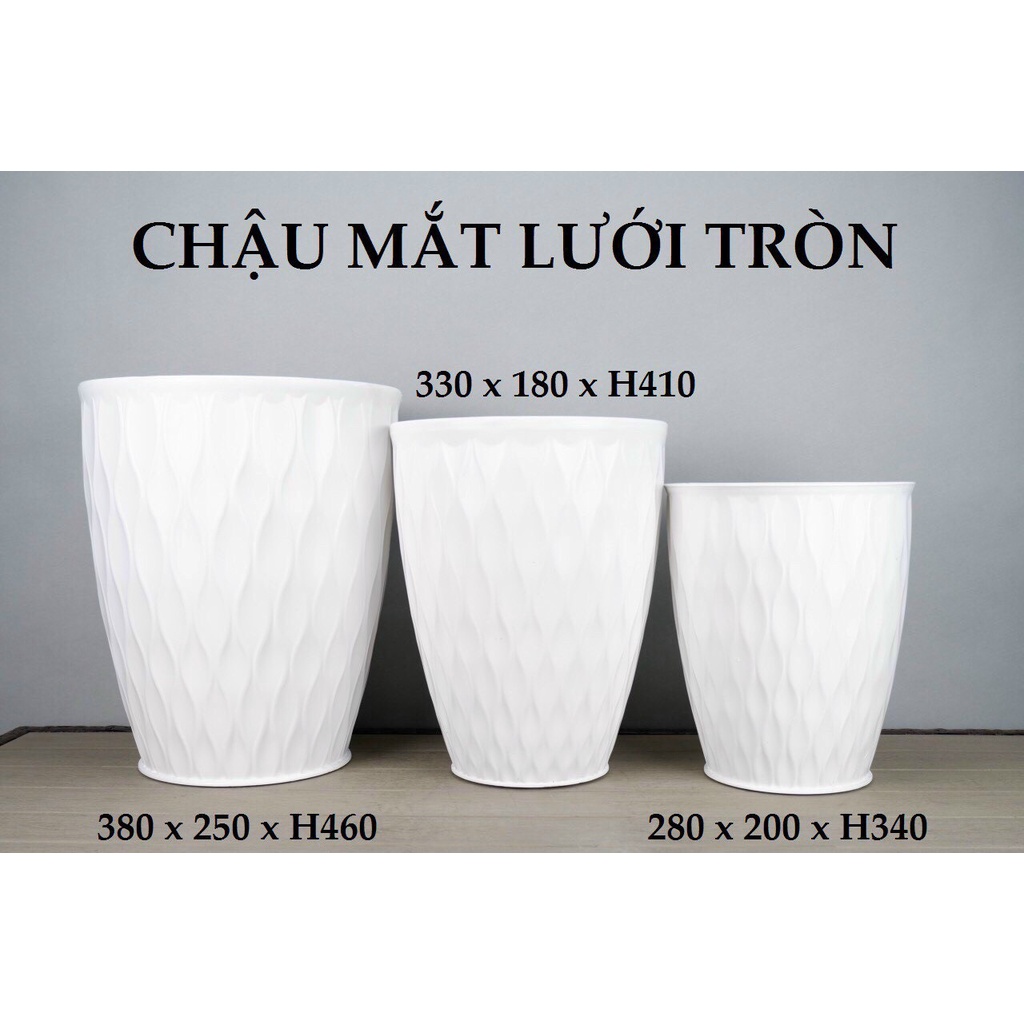 CHẬU NHỰA MẮT LƯỚI TRÒN GIẢ SỨ TRẮNG, HÀNG DÀY LOẠI 1