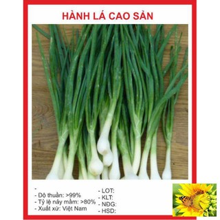 Hạt giống Hành lá 50 hạt
