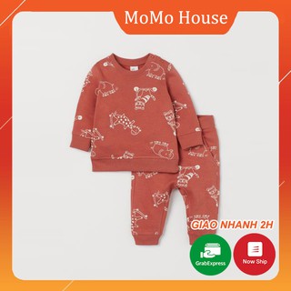 Bộ Nỉ Cho Bé Họa Tiết Khủng Long Màu Đỏ Gạch