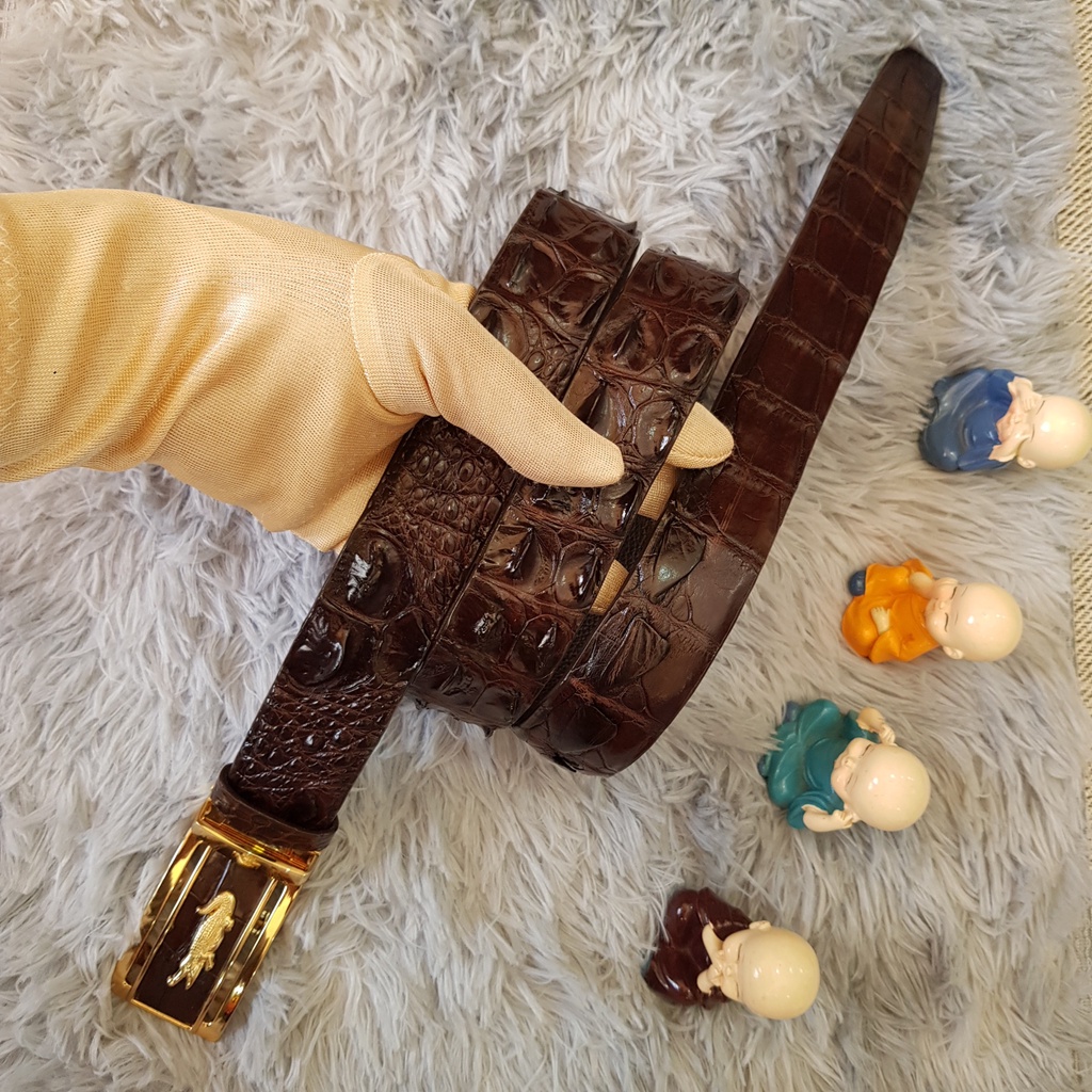 Thắt Lưng Da Cá Sấu, Dây Lưng Da Cá Sấu Gù Liền Nguyên Con Bản 3,5 cmI Màu Sắc Nâu Cafe I Bảo Hành 24 Tháng