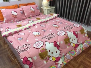 Bộ ga chun + 2 vỏ gối thanh lý