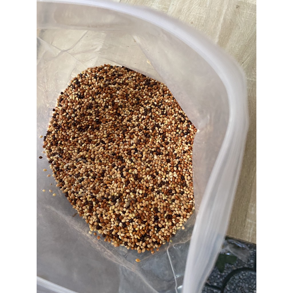 2 kg Hạt cỏ thái cho chim cu ăn cực sung, đảm bảo nhiều chất dinh dưỡng
