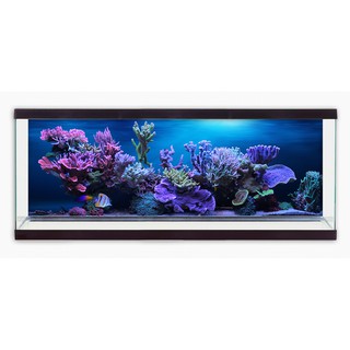 Tranh phông nền dán hồ cá VTC Cảnh san hô Aquarium tank - 011 KT 120 x 60 cm