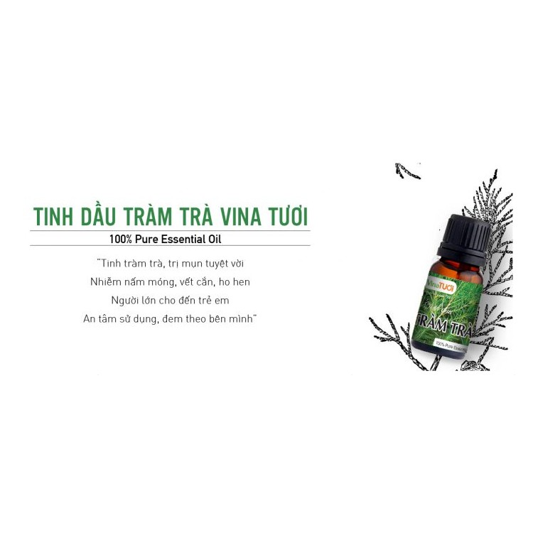 Tinh dầu Tràm Trà Tea Tree Oil Nguyên Chất Vina Tươi 10ml Trị Mụn Cấp Tốc - Kháng Viêm, Kháng Khuẩn