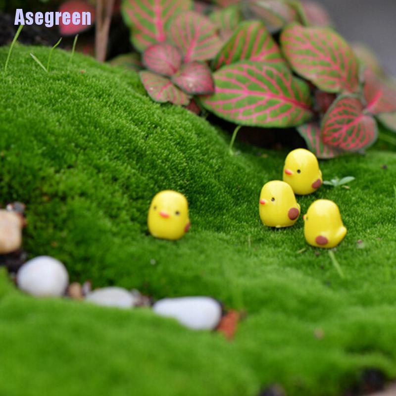 Set 5 chú gà con mini màu vàng dễ thương xinh xắn