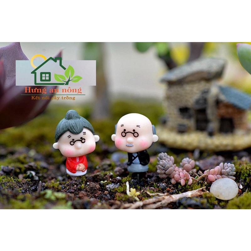 TT49 - CẶP ĐÔI ÔNG BÀ MINI GIAO MẪU NGẪU NHIÊN trang trí tiểu cảnh sen đá xương rồng cây để bàn