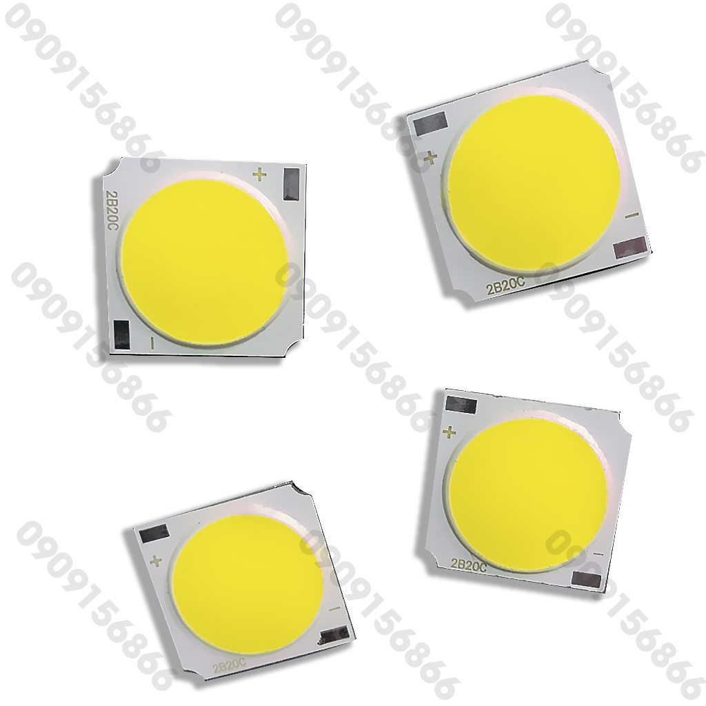 Mắt led Cob 20W