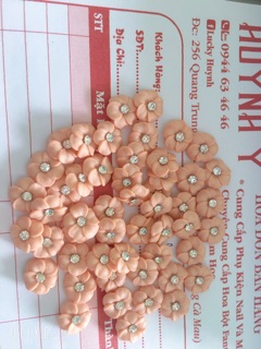 Hoa đậu ( nail)
