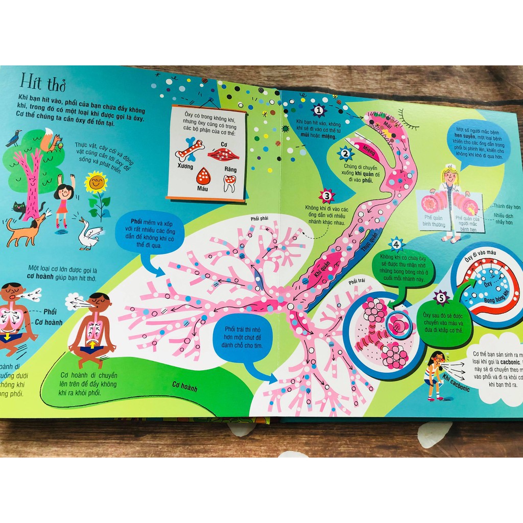 Sách Tương Tác - Big Book - Cuốn Sách Khổng Lồ Về Cơ Thể Người (Tái Bản) Gigabook