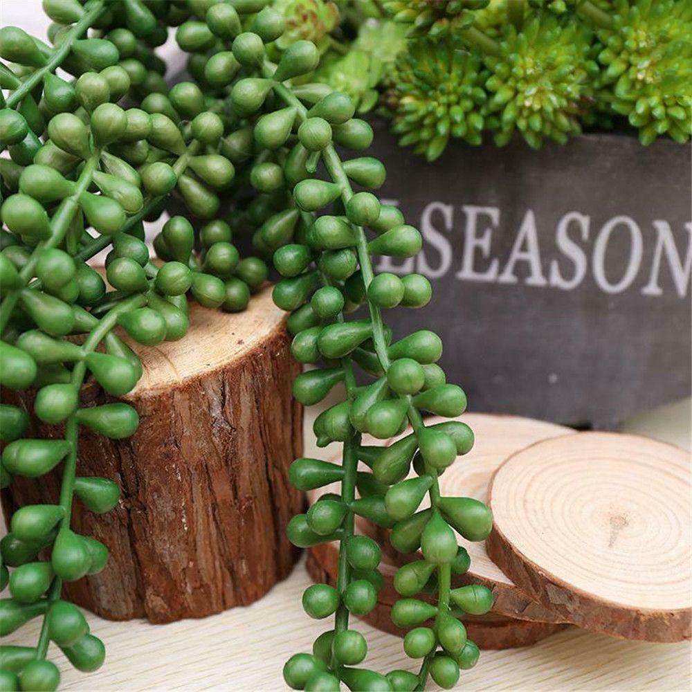 Suyo Cây Nhân Tạo Màu Xanh Lá Cây Phổ Biến Cho Tiệc Cưới Dây Treo Chậu Cây Mọng Nước