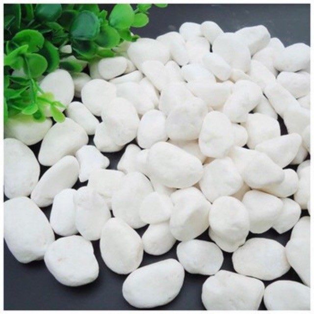 Sỏi trắng to (2 - 3 cm) 200g  trang trí hồ cá, chậu cây cảnh, terrarium, trang trí sân vườn