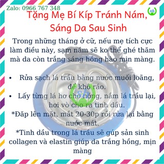 [HCM]Sỉ 6 bếp hơ lá trầu