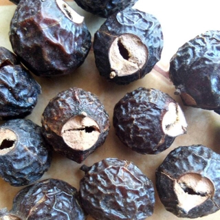 Bồ hòn chín tách hạt