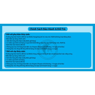 Lũa Cholla trang trí hồ tép cảnh