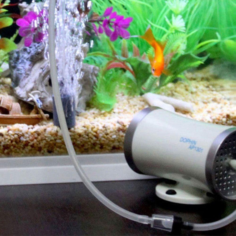 Van Kiểm Tra Đường Kính 4cm Một Chiều Cho Bể Cá