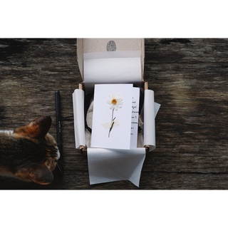 Nhẫn Meow Bạc 925 Tự Chỉnh Size