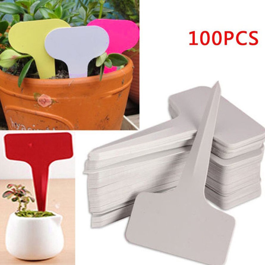 100 Tag Nhựa Chữ T Đánh Dấu Cây Cảnh