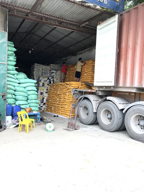 Gạo tám thái em bé 10kg