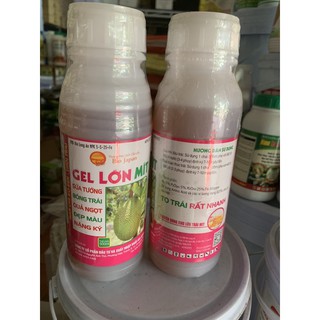 Gel lớn trái mít của quả cầu lửa