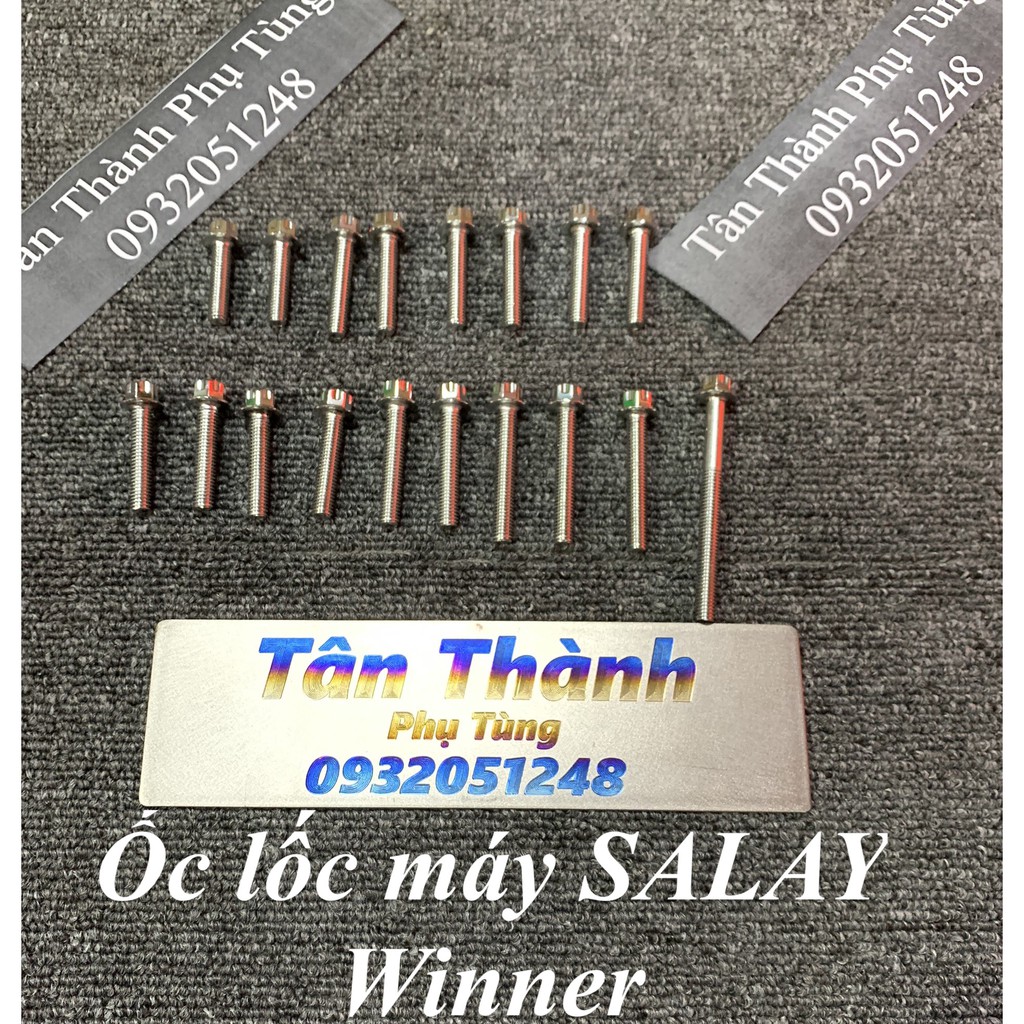 Bộ ốc lốc máy SALAYA Winner 150 Inox - 18 con