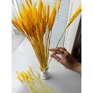 Bó bông lúa vàng tài lộc phong thủy