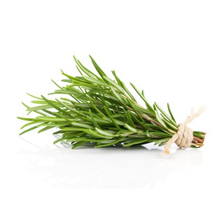 Hạt Giống Hương Thảo