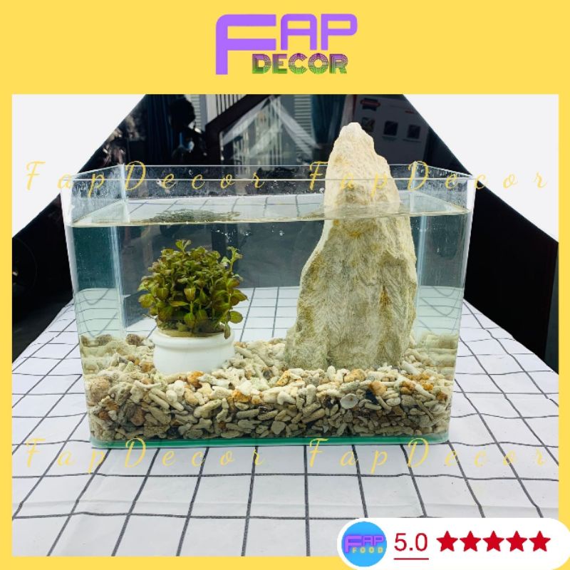 Đá Thủy Sinh, Đá Vôi Trang Trí Bể Cá Làm Hòn Non Bộ, Làm Vườn Trang Trí Nhà Cửa - FapFood