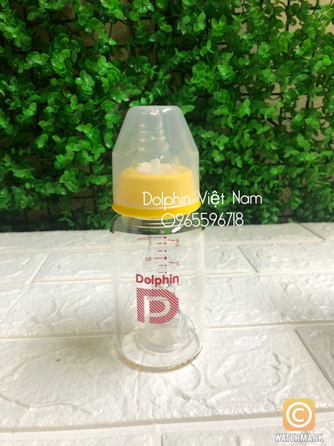 Bình sữa thuỷ tinh 120ml/240ml Dolphin