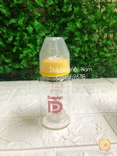 Bình sữa thuỷ tinh 120ml/240ml Dolphin