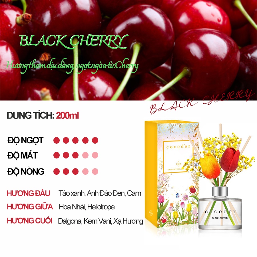 Tinh Dầu Tán Hương Phiên Bản Tulip Cocodor Tulip Diffuser 200ml