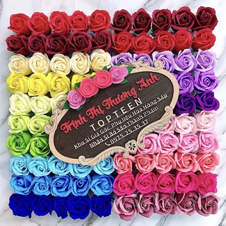 🌹giá sỉ🌹màu ngẫu nhiên sỉ 1 đầu bông giá rẻ nhất shopeeee