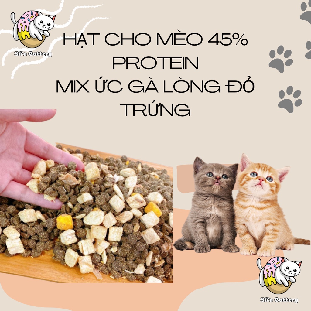 Hạt cho mèo 36% Protein, Mix Ức gà + Lòng đỏ trứng + Hạt khô nhỏ phù hợp với mọi lứa tuổi, túi 1kg