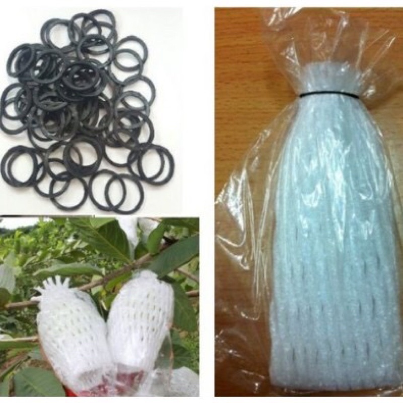 100 cái xốp lồng rồi bọc ổi( bao gồm nylon, xốp và chun)
