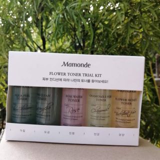 SET 5 CHAI TONER MAMONDE ROSE WATER MINI