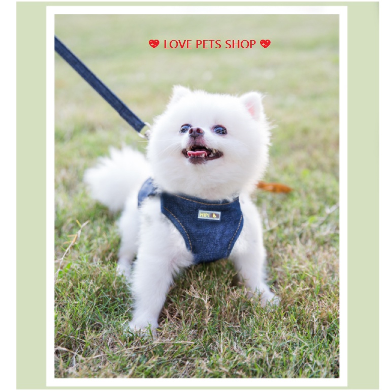 Bộ dây dắt cho Chó Mèo kèm yếm ngực bản lớn bằng vải jean - Love Pets Shop