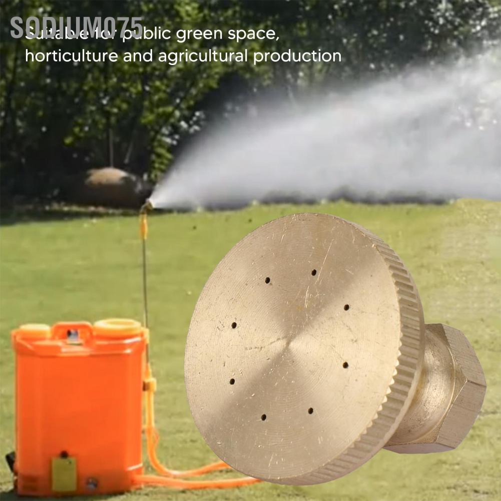 Sodium075 Vòi phun làm vườn Đồng G3 / 8 ren trong Đầu thẳng lỗ ống nước cho nông nghiệp