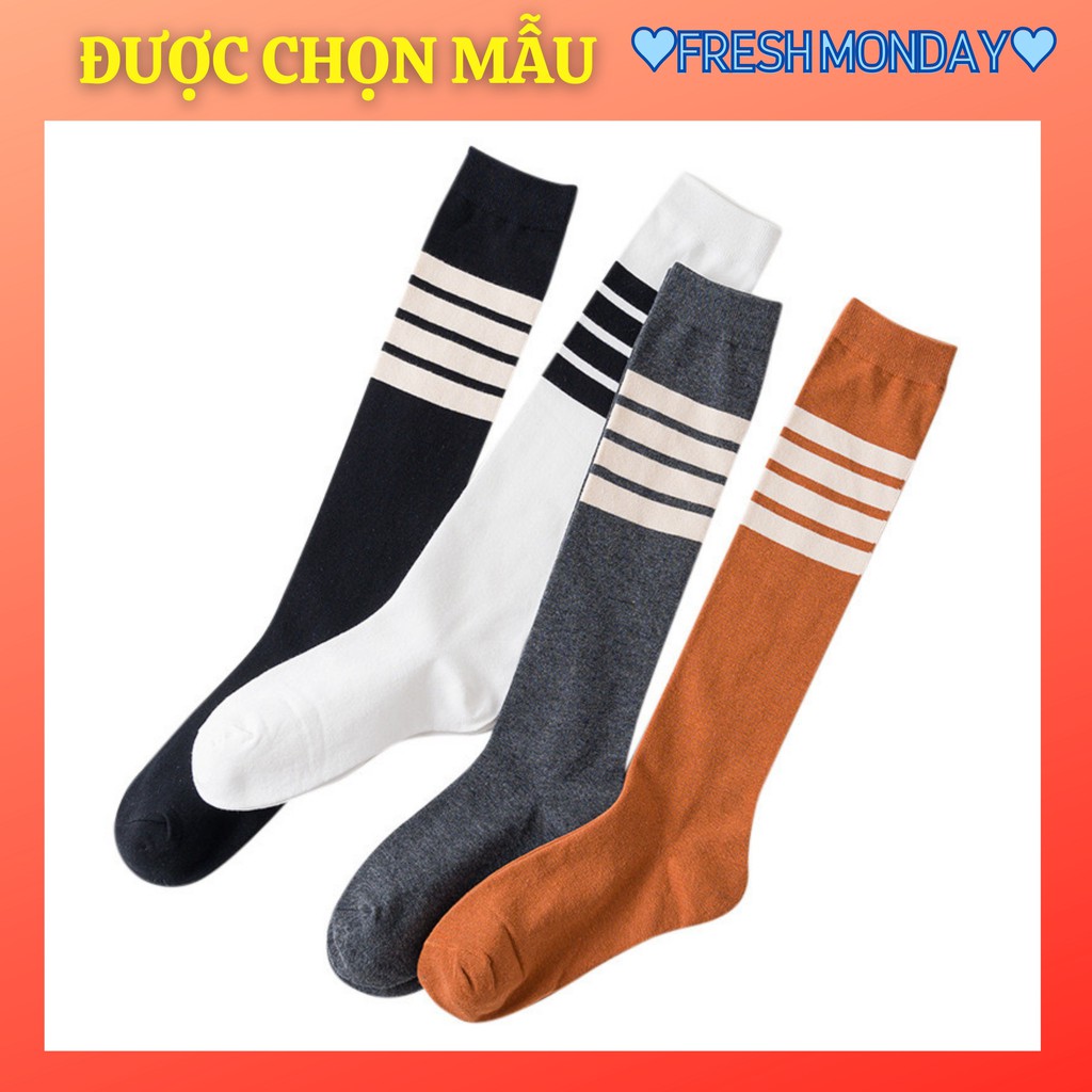 Tất vớ cao đến bắp chân ⚡️ 𝐅𝐑𝐄𝐄 𝐒𝐇𝐈𝐏 ⚡️- Style Hàn Quốc cá đáng yêu - Cotton mềm mại [KÈM TIPS MIX ĐỒ] Mã TX10