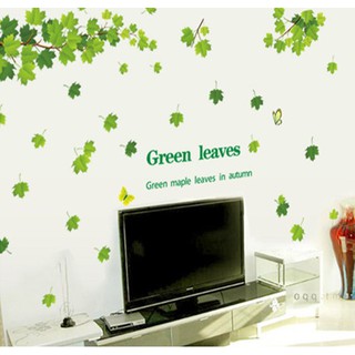 Green leaves - dc146
